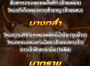 ทีเด็ดวัวชน วันที่21/02/69 สนามชนโคนาทราย-นาโยง-บางกล่ำ