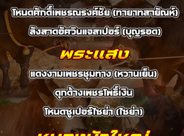 ทีเด็ดวัวชน วันที่26/02/69 สนามชนโคพระแสง-สมหวัง-หนองบัวใหญ่