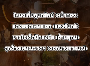 ทีเด็ดวัวชน วันที่06/02/69 สนามชนโคตรัง