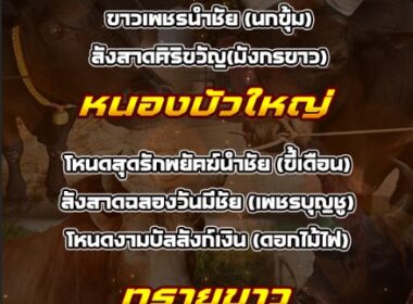 ทีเด็ดวัวชน วันที่29/03/69 สนามชนโคนานาชาติ -ทรายขาว-หนองบัวใหญ่