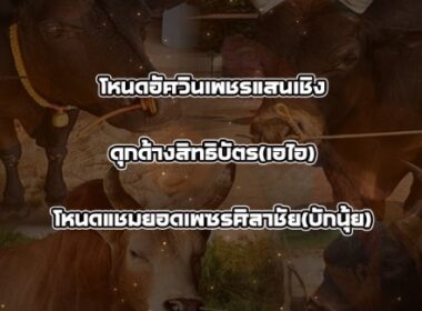 ทีเด็ดวัวชน วันที่04/03/69 สนามชนโคบ้านหยีใน