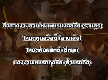 ทีเด็ดวัวชน วันที่01/04/69 สนามชนโคบ้านหยีใน
