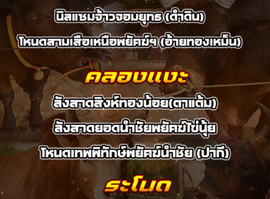 ทีเด็ดวัวชน วันที่05/04/69 สนามชนโคบ้านคลองแงะ-ระโนด-นครตรัง