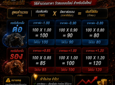 แทง100 ได้เท่าไหร่? วิธีคำนวณราคา วัวชนออนไลน์ สำหรับมือใหม่