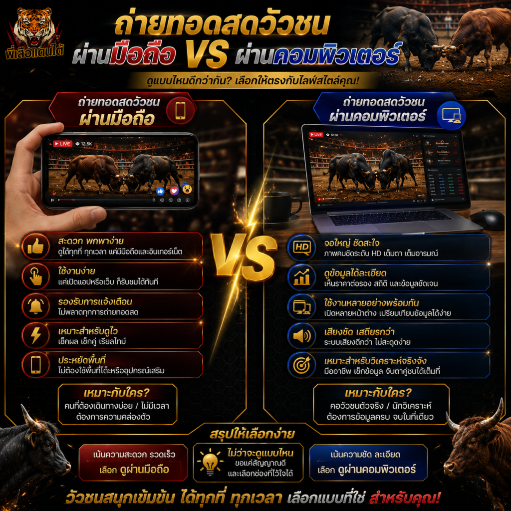 ถ่ายทอดสดวัวชน ผ่านมือถือ vs ดูผ่านคอมพิวเตอร์ ต่างกันยังไง