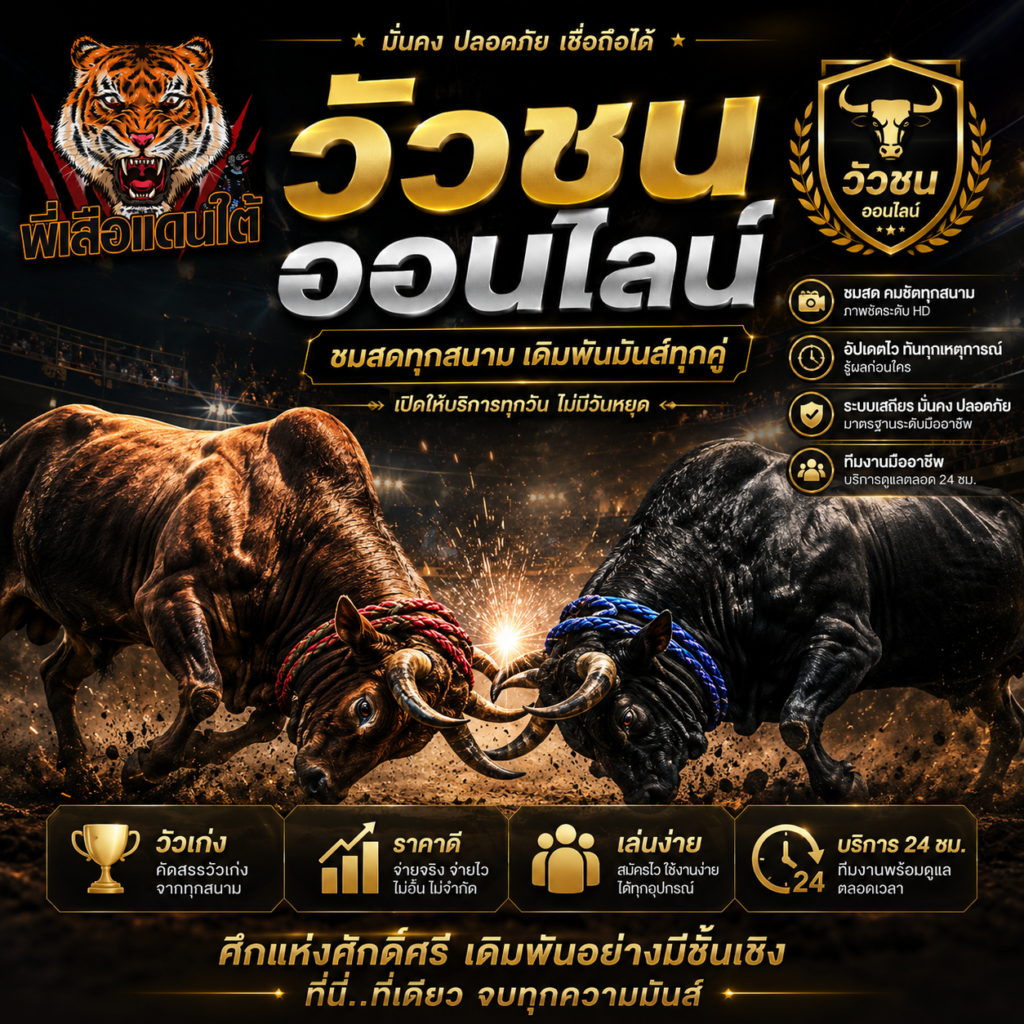 วิธีแทงวัวชน คู่มือดูวัวชน วิเคราะห์เกม และอ่านราคาสำหรับมือใหม่ 2026