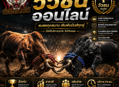 วิธีแทงวัวชน คู่มือดูวัวชน วิเคราะห์เกม และอ่านราคาสำหรับมือใหม่ 2026