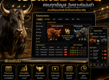โปรแกรมวัวชน อัปเดตคู่ชน เวลาแข่งขัน และลิงก์ดูสดล่าสุด 2026
