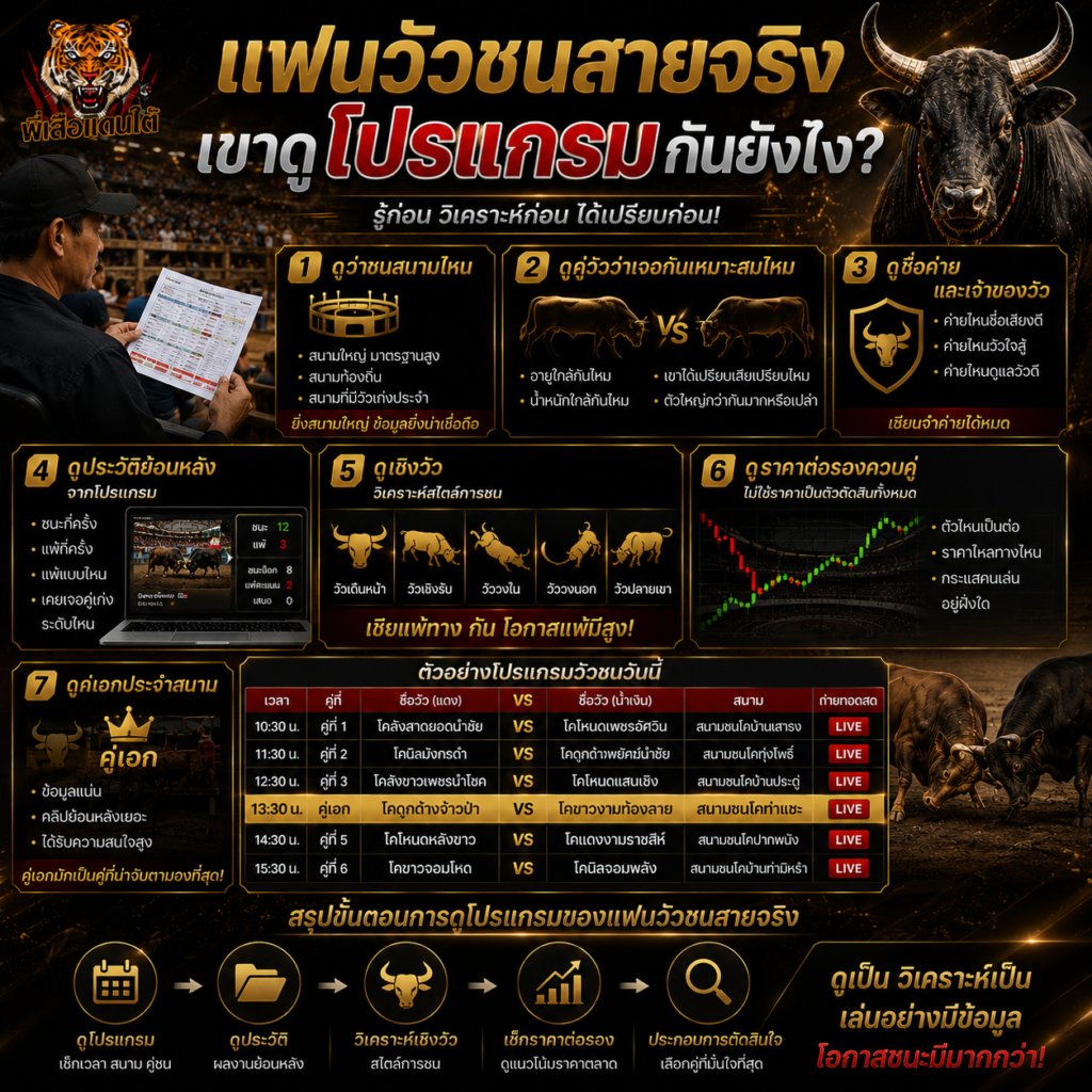 แฟนวัวชนสายจริง เขาดูโปรแกรมกันยังไง? 