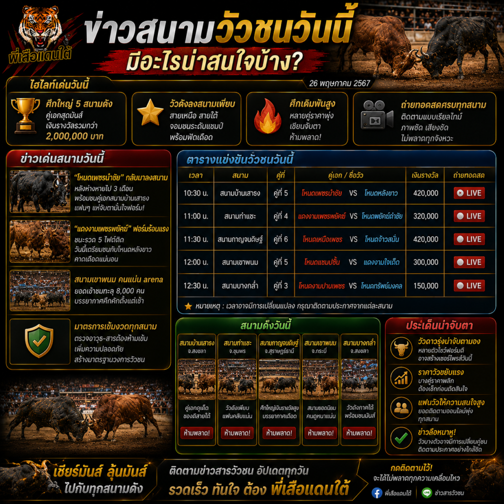 ข่าวสนามวัวชนวันนี้ มีอะไรน่าสนใจบ้าง?