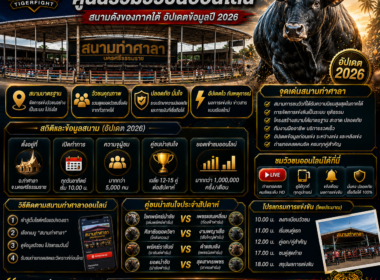 สนามท่าศาลา ศูนย์รวมวัวชนออนไลน์ สนามดังของภาคใต้ 2026