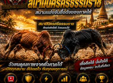 สนามนครศรีธรรมราช วัวชนออนไลน์  สนามแข่งขันชื่อดังของภาคใต้