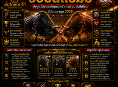 วัวชนแชมป์ รวมข้อมูลวัวชนระดับแถวหน้า พร้อมแนวทางศึกษาฟอร์ม