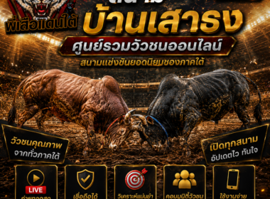 สนามบ้านเสาธง ศูนย์รวมวัวชนออนไลน์สนามยอดนิยมของภาคใต้