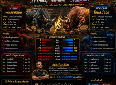 วิเคราะห์คู่วัวชน  วิธีเปรียบเทียบวัวชนก่อนแข่งขัน พร้อมเทคนิคอ่านเกมให้แม่น ปี 2026