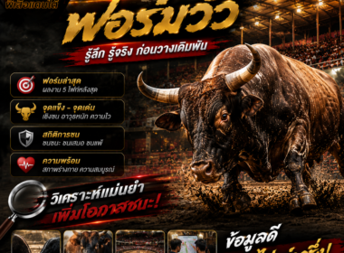 วิเคราะห์ฟอร์มวัว วิธีดูฟอร์มวัวชนให้แม่นยำ ปี 2026