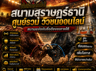 สนามสุราษฎร์ธานี วัวชนออนไลน์  สนามแข่งขันชื่อดังของภาคใต้