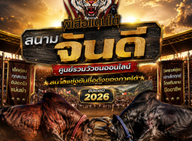 สนามจันดี ศูนย์รวมวัวชนออนไลน์ สนามแข่งขันชื่อดัง 2026
