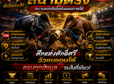 สนามตรัง วัวชนออนไลน์  สนามแข่งขันชื่อดังของภาคใต้