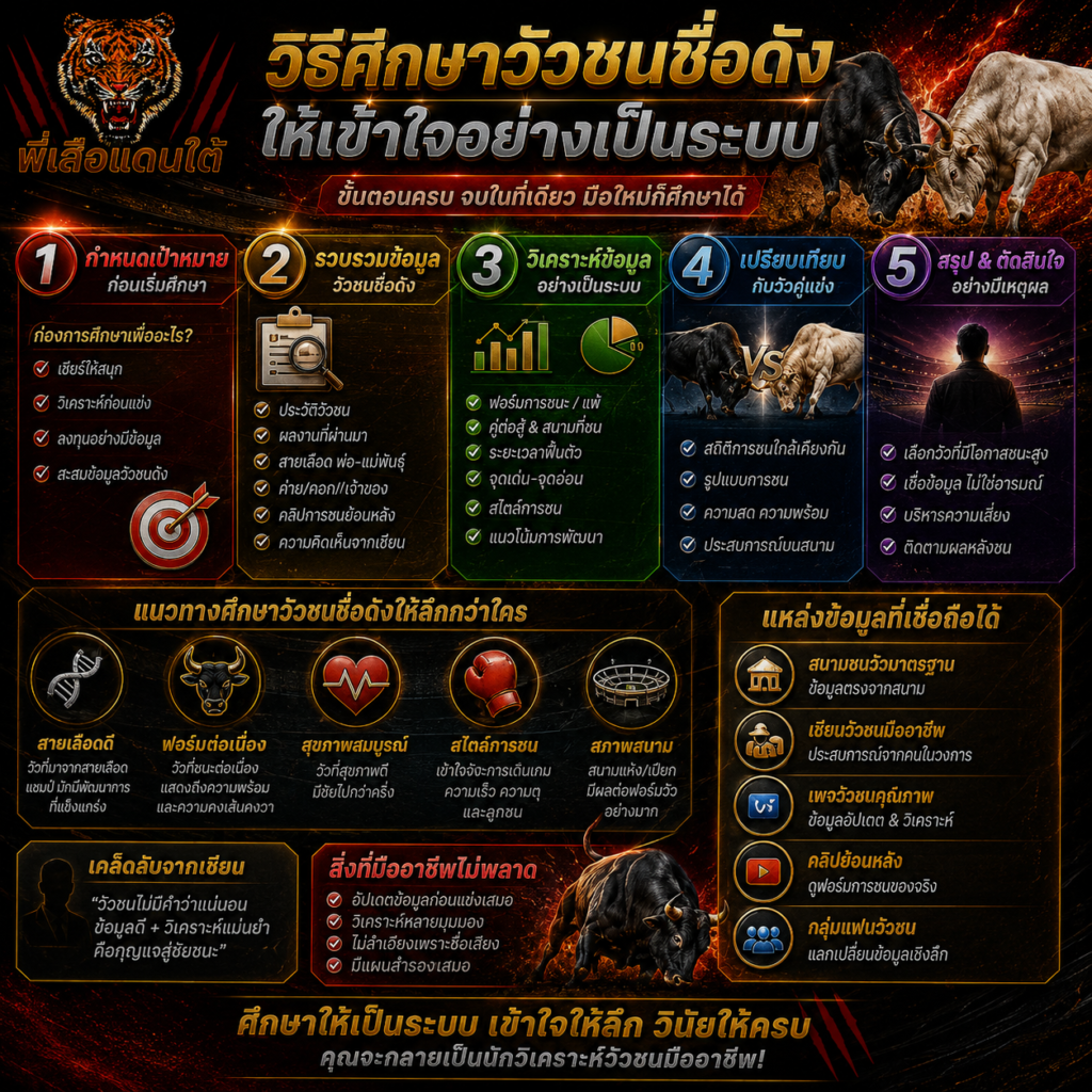 วิธีศึกษาวัวชนชื่อดังให้เข้าใจอย่างเป็นระบบ