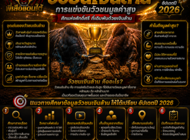 วัวชนเงินล้าน เปิดเรื่องการแข่งขันวัวชนมูลค่าสูง อัปเดต 2026