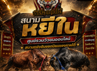 สนามหยีใน  ศูนย์รวมวัวชนออนไลน์ สนามแข่งขันยอดนิยมของภาคใต้