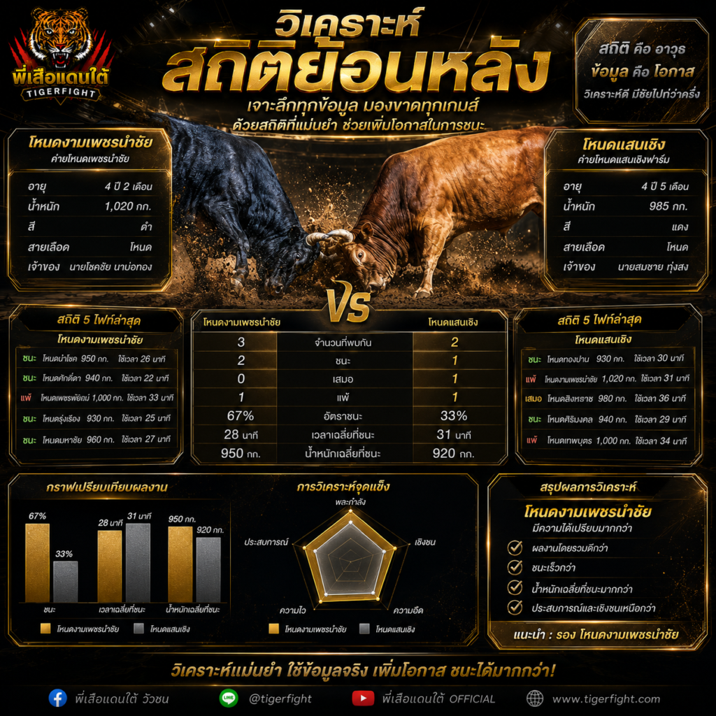 วิเคราะห์วัวชน สถิติย้อนหลัง วิธีใช้ข้อมูลเก่าวิเคราะห์ 2026