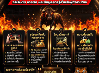 แทงวัวชนออนไลน์  คืออะไร? วิธีเริ่มต้น เทคนิค และข้อควรรู้สำหรับผู้ใช้งานใหม่ ปี 2026