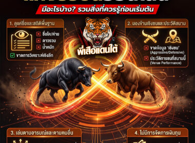 ข้อผิดพลาดมือใหม่ในการแทงวัวชนออนไลน์ มีอะไรบ้าง? รวม 10 เรื่องที่ควรรู้ก่อนเริ่ม ปี 2026