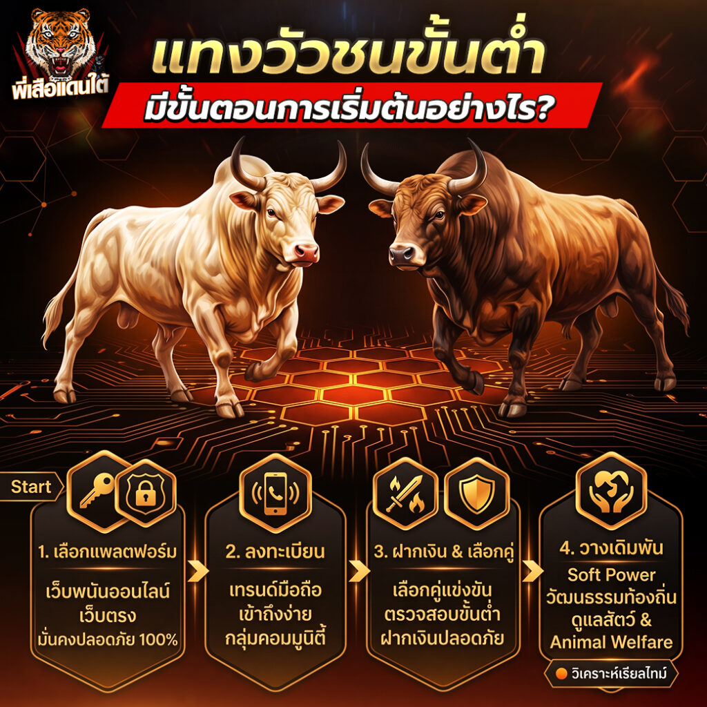 แทงวัวชนขั้นต่ำ มีขั้นตอนการเริ่มต้นอย่างไร?
