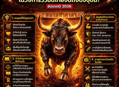 เรื่องเล่าวัวชน รวมเรื่องราวที่สะท้อนประวัติศาสตร์และวิถีชีวิตของคนภาคใต้ อัปเดตปี 2026