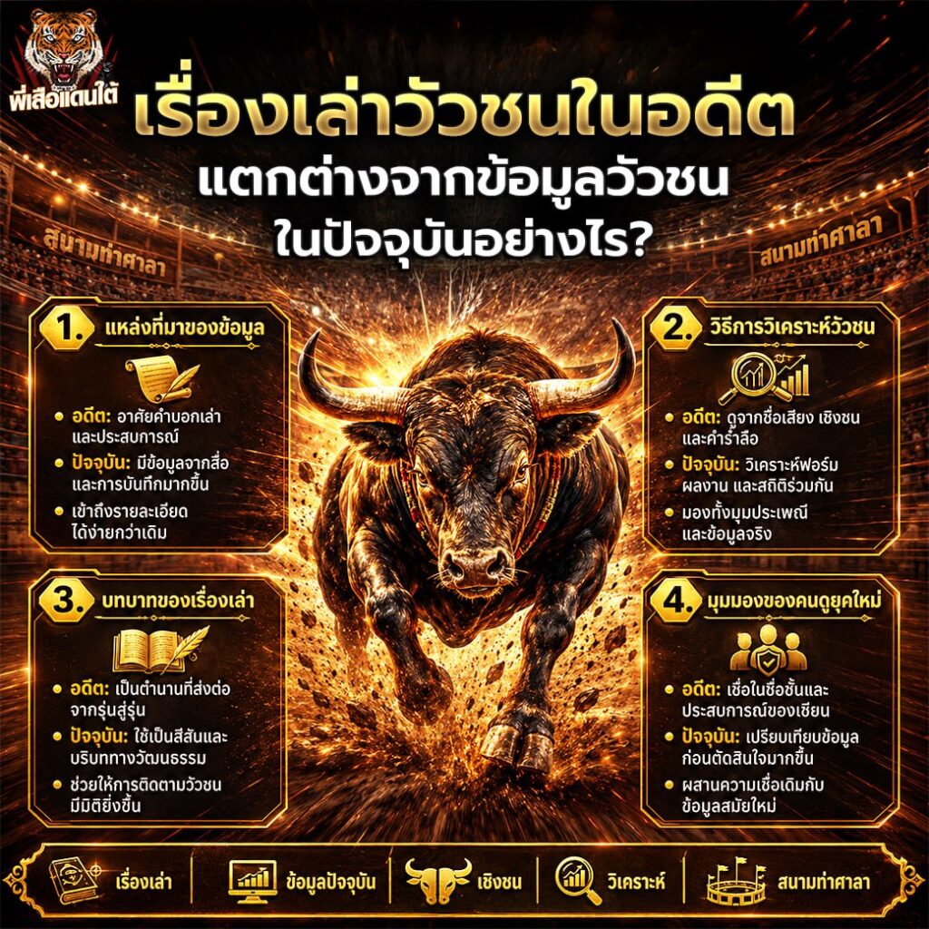 วัวชนชื่อดังในอดีต สร้างอิทธิพลต่อวงการวัวชนไทยอย่างไร?