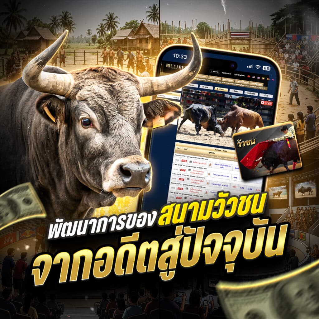 พัฒนาการของสนามวัวชนจากอดีตสู่ปัจจุบัน