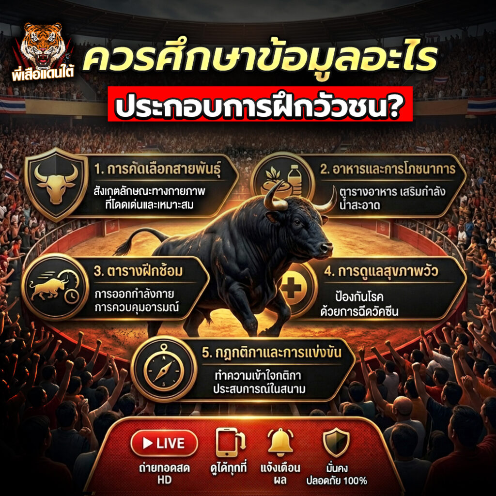 ควรศึกษาข้อมูลอะไรประกอบการฝึกวัวชน?