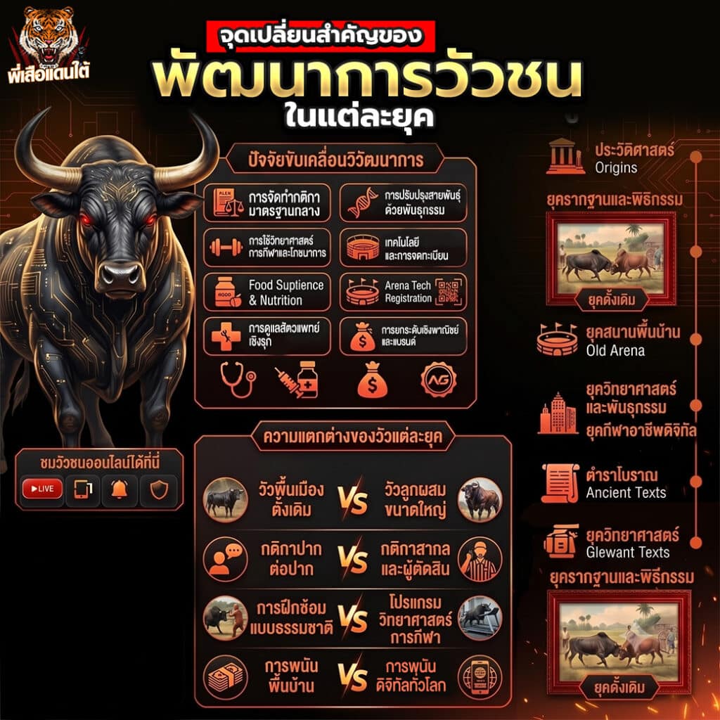 จุดเปลี่ยนสำคัญของพัฒนาการวัวชนในแต่ละยุค