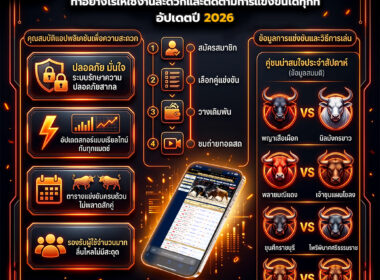 แทงวัวชนผ่านมือถือ ทำอย่างไรให้ใช้งานสะดวกและติดตามการแข่งขันได้ทุกที่ อัปเดตปี 2026