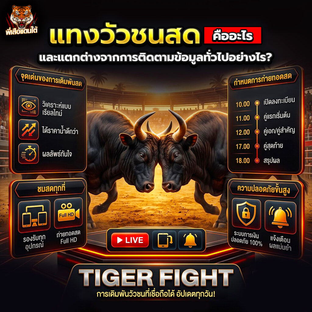 แทงวัวชนสด คืออะไร? วิธีติดตามการแข่งขันแบบเรียลไทม์ พร้อมเทคนิคสำหรับผู้เริ่มต้น ปี 2026