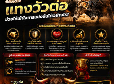 แทงวัวต่อ คืออะไร? เข้าใจความหมาย วิธีดูราคาต่อ และเทคนิคศึกษาข้อมูล ปี 2026
