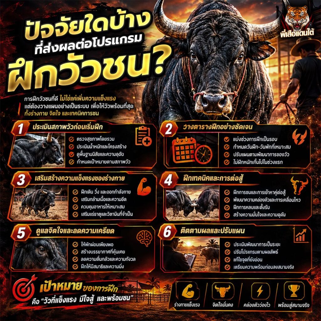 ปัจจัยใดบ้างที่ส่งผลต่อโปรแกรมฝึกวัวชน?