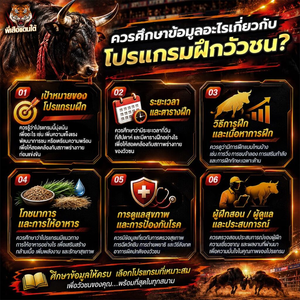 ควรศึกษาข้อมูลอะไรเกี่ยวกับโปรแกรมฝึกวัวชน?
